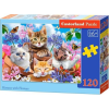 Castorland 120 db-os Puzzle - Cicák a virágok között B-13524 (451451)