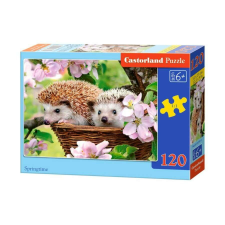 Castorland 120 db-os puzzle - Tavasz (készségfejlesztő játék - Castorland) puzzle, kirakós