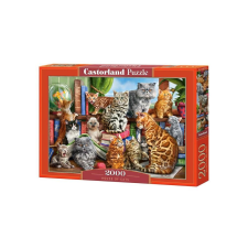 Castorland 2000 db-os puzzle - Macskák háza (C-200726) puzzle, kirakós