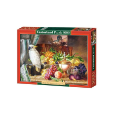 Castorland 3000 db-os puzzle - Csendélet (C-300143) puzzle, kirakós
