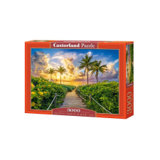 Castorland 3000 db-os puzzle - Napkelte Miami-ban (C-300617) puzzle, kirakós