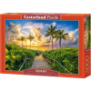 Castorland 3000 db-os Puzzle - Napkelte Miami-ban C-300617 (513346)