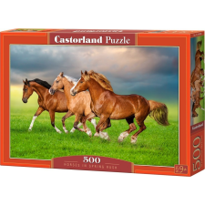 Castorland 500 db-os Puzzle - Tavaszi Vágta (B-54084) (54084) puzzle, kirakós