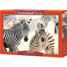 Castorland C-105021 1000 db-os Puzzle - Fiatal Zebrák (WZCSTT0UI005021) puzzle, kirakós