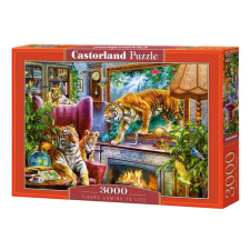 Castorland puzzle 3000 db-os - Tigrisek puzzle, kirakós