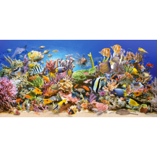 Castorland Underwater life 4000 pcs Kirakós játék 4000 db Víz alatti (400089) puzzle, kirakós