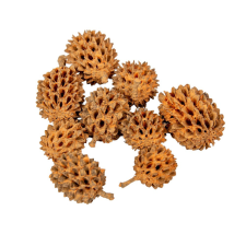  Casuarina falfestékes narancs 17dkg/csom dekorációs kellék