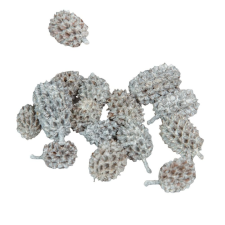  Casuarina zúzmarás 27dkg/csom dekorációs kellék