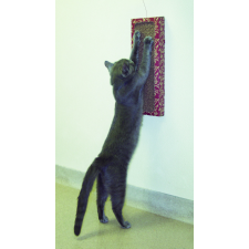 Cat Dancer Macskafal kaparó, macskaágy macskafelszerelés