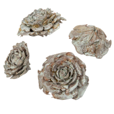  Cédrus rózsa falfestékes mud zöld 17dkg/csom dekorációs kellék