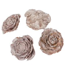 Cédrus rózsa zuzmarás fehér 5-7cm 17dkg/csom dekorációs kellék