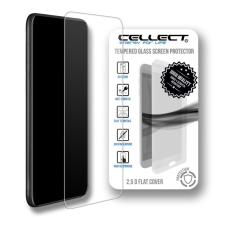 CELLECT Samsung Galaxy A25 5G üvegfólia (LCD-SAM-A25-5G-GLASS) (LCD-SAM-A25-5G-GLASS) mobiltelefon kellék
