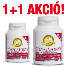  Celsus Tőzegáfonya kapszula 60 db 1+1 vitamin és táplálékkiegészítő