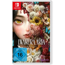Cenega Iwakura Aria, Nintendo Switch, Konzol játékszoftver videójáték