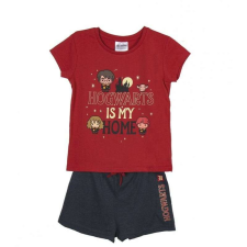 Cerda Pijama Harry Potter Roxfort az otthonom Pentru Fete 128 cm gyerek hálóing, pizsama