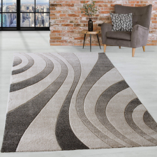 CHARLOTTE Modern szőnyeg Charlotte 438 (Beige) 160x230cm Bézs lakástextília