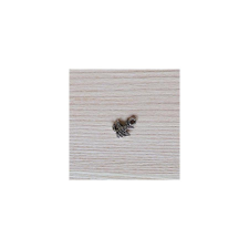  Charm, hal. Mérete: 8x11 mm dekorációs kellék