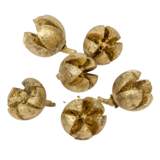  Chiruni szárított termés világos arany 17dkg/csom dekorációs kellék