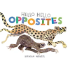 Chronicle Books Hello Hello Opposites | WENZEL BRENDAN
