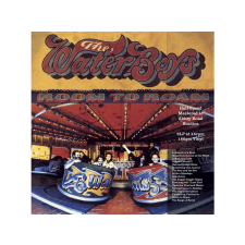 Chrysalis The Waterboys - Room To Roam (2008 Remaster) (Vinyl LP (nagylemez)) rock / pop