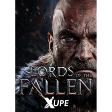 CI Games Lords of the Fallen - Monk Decipher (PC - Steam Digitális termékkulcs) videójáték