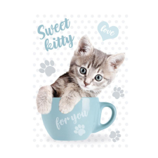  Cicás Sweet Kitty A/4 gumis mappa mappa