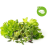 Click and Grow Steak & Grill Mix