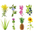 ClickAndGrow Click and Grow Experimentális utántöltő