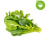 ClickAndGrow Salátakeverék