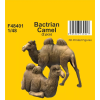  CMK Bactrian Camel (2 pcs) (129-F48401)