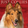 Collies 2027 12 X 12 Wall Calendar (Naptár/Határidőnapló)