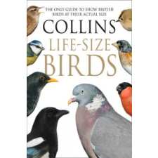  Collins Life-Size Birds – Paul Sterry idegen nyelvű könyv