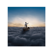 Columbia Pink Floyd - The Endless River (Vinyl LP (nagylemez)) rock / pop
