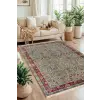  Conceptum Hypnose Carpet (50 x 80) Multicolor 157