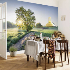 Consalnet Meadow Trail fotótapéta tapéta, díszléc és más dekoráció