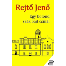 CONTENT 2 CONNECT Egy bolond száz bajt csinál egyéb e-könyv
