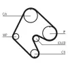 CONTINENTAL CTAM Fogasszíj CT529