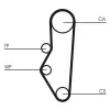 CONTINENTAL CTAM Fogasszíjkészlet CT525K1