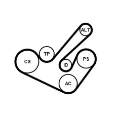 CONTINENTAL CTAM hosszbordás szíj készlet 6PK1555K9 autóalkatrész