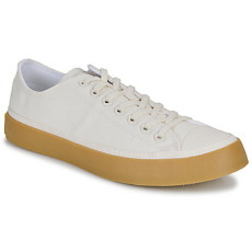 Converse Rövid szárú edzőcipők CHUCK TAYLOR ALL STAR Bézs 44