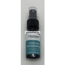 Cooling Peppermint Refreshing Spray 9ml (100%-ban természetes tisztaságú) illóolaj
