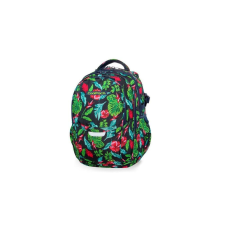 Coolpack - Factor iskolatáska, hátizsák - 4 rekeszes - Candy Jungle (B02016) iskolatáska