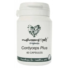  Cordyceps Plus 500mg 60db vitamin, táplálékkiegészítő kutyáknak