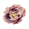 Corolla Exp-Imp. Kft Babarózsa fej 5cm pasztell rózsaszín