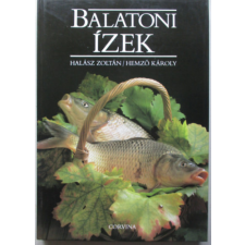 Corvina Kiadó Balatoni ízek antikvárium - használt könyv