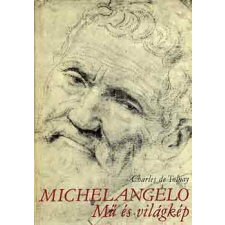 Corvina Kiadó Michelangelo: Mű és világkép antikvárium - használt könyv
