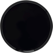 Costa Nova Sekély tányér, Costa Nova Laguna 27 cm, fekete, megemelt perem tányér és evőeszköz