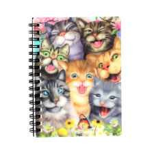 Crazy Cats 3D spirális állatsimogató füzet