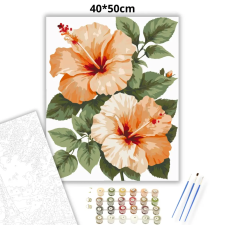 Creative Land Kft Barackos hibiszkuszok - számfestő készlet kreatív és készségfejlesztő