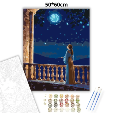 Creative Land Kft Csillagidéző - számfestő készlet – 50×60 cm (Keretre feszítve) kreatív és készségfejlesztő